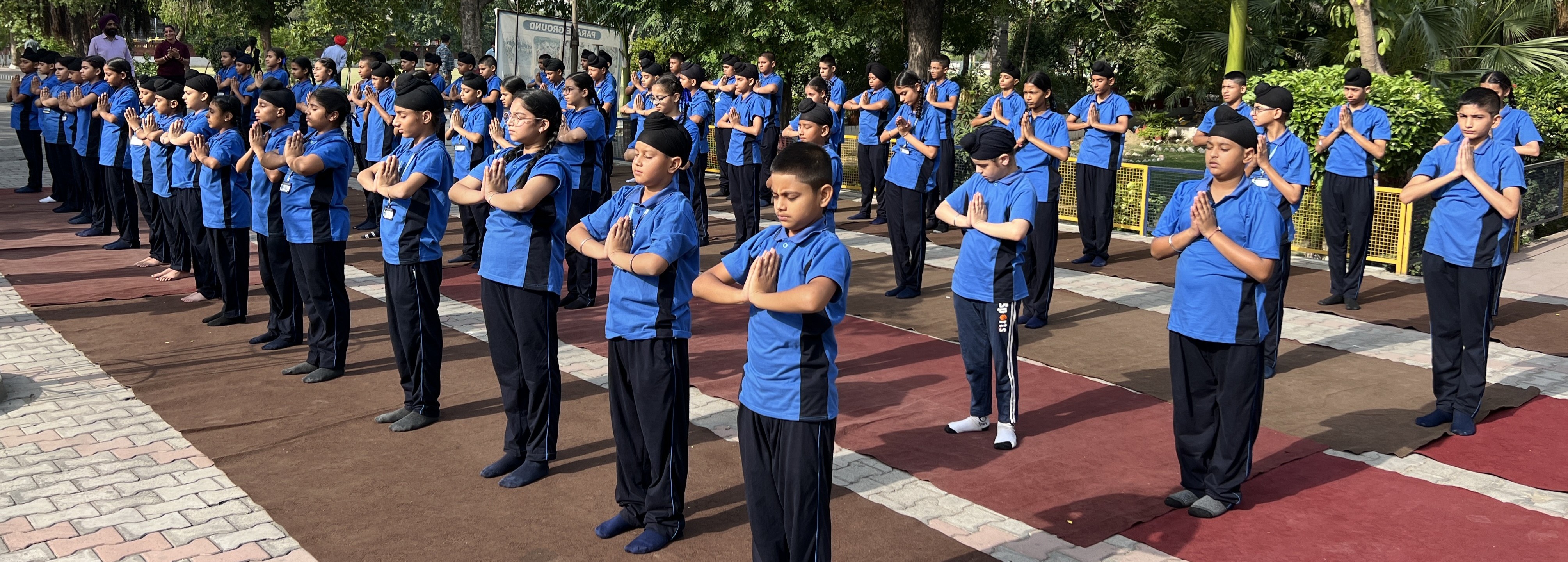 Discipline & Dedication